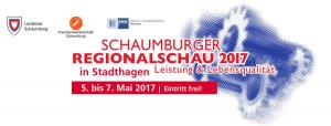 Schaumburg Regional Show